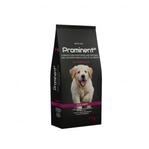 Prominent DOG PUPPY 3 kg